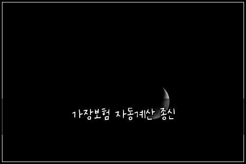 가장보험 자동계산  종신