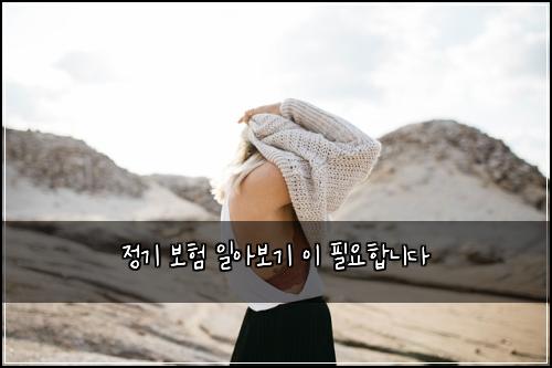 정기 보험 일아보기  이 필요합니다