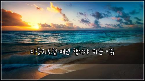 자동차보험 매년 챙겨야 하는 이유
