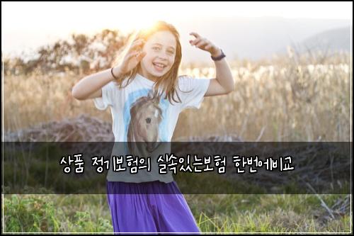 상품 정기보험의 실속있는보험 한번에비교