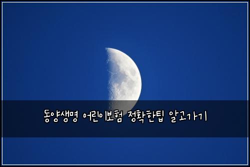 동양생명 어린이보험 정확한팁  알고가기