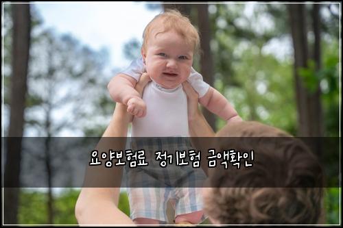 요양보험료 정기보험 금액확인