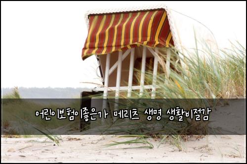 어린이보험이좋은가 메리츠 생명 생활비절감