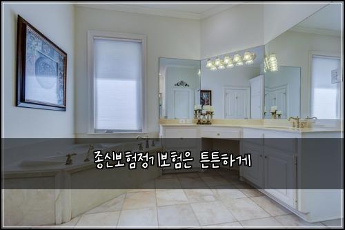 종신보험정기보험은 튼튼하게