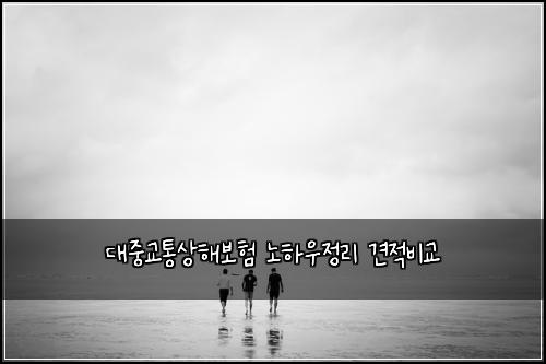 대중교통상해보험 노하우정리  견적비교