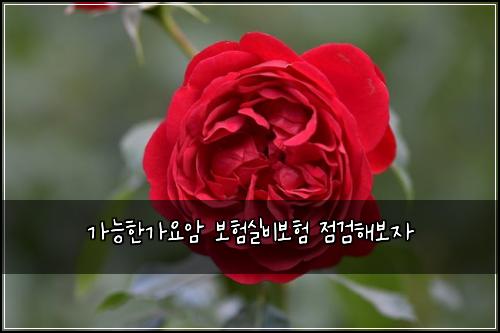 가능한가요암 보험실비보험 점검해보자