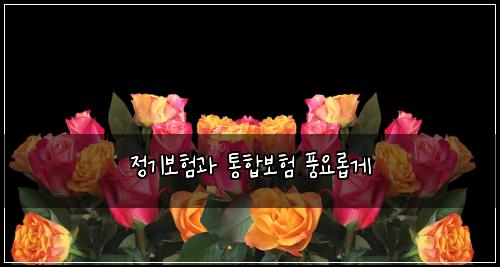 정기보험과 통합보험 풍요롭게
