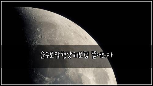 μμ보μ₯νμν΄λ³΄ν λ―μ΄λ³΄μ