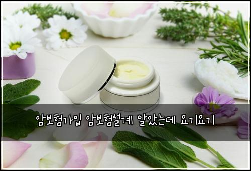 암보험가입 암보험설계 알았는데 요기요기