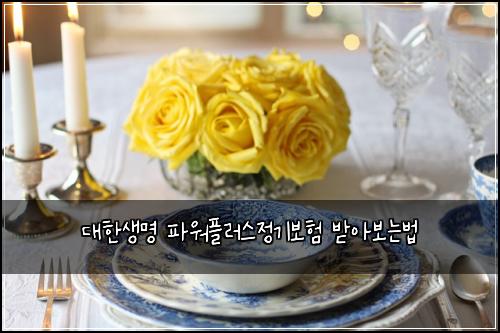 대한생명 파워플러스정기보험 받아보는법 