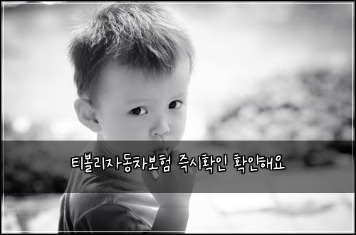 ํฐ๋ณผ๋ฆฌ์๋์ฐจ๋ณดํ ์ฆ์ํ์ธ ํ์ธํด์
