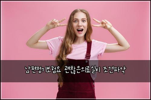 남편정기보험요 괜찮은의료실비 조건파악