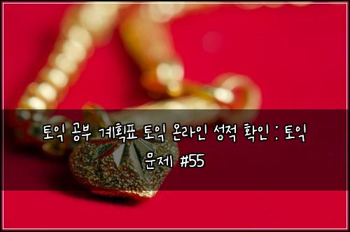 토익 공부 계획표 토익 온라인 성적 확인 : 토익 문제 #55