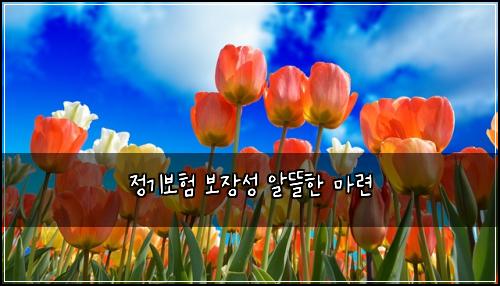 정기보험 보장성  알뜰한 마련