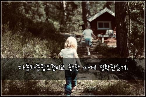 ์๋์ฐจ์ข
ํฉ๋ณดํ๋น๊ต ์์ฐฝ ์ธ๊ฒ ์ ํํ์ค๊ณ