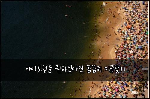 태아보험을 원하신다면 꼼꼼히 지금찾기