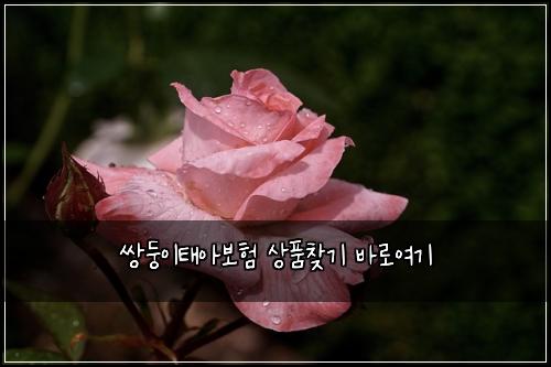 쌍둥이태아보험 상품찾기  바로여기