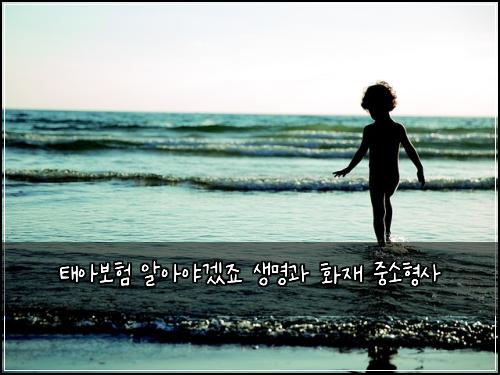 태아보험 알아야겠죠  생명과 화재 중소형사