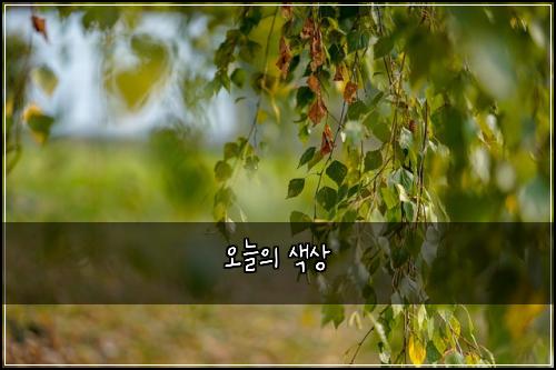 오늘의 색상