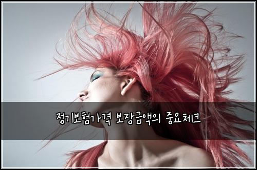 정기보험가격 보장금액의 중요체크