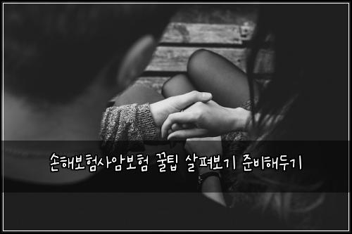 손해보험사암보험 꿀팁 살펴보기 준비해두기