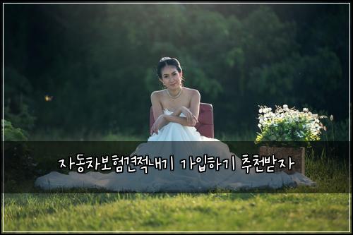 자동차보험견적내기 가입하기 추천받자