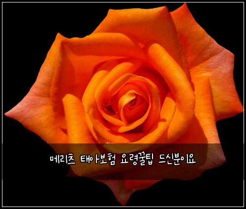메리츠 태아보험 요령꿀팁  드신분이요