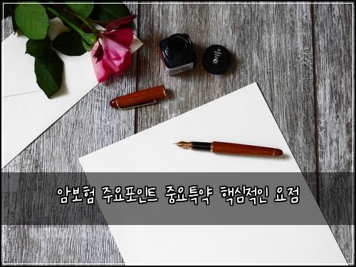 암보험 주요포인트  중요특약 핵심적인 요점
