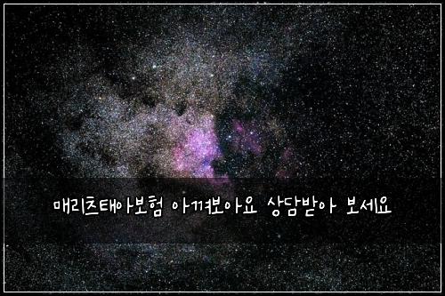 매리츠태아보험 아껴보아요  상담받아 보세요