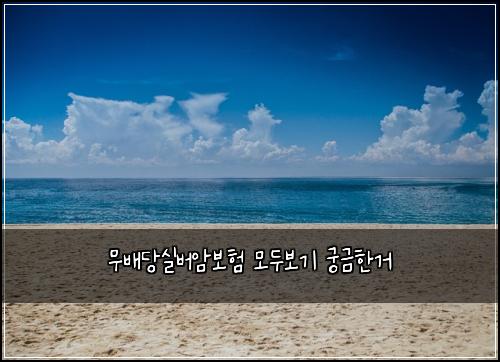 무배당실버암보험 모두보기  궁금한거