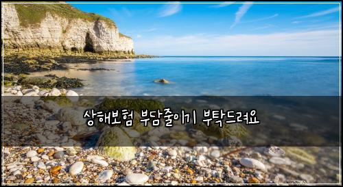 상해보험 부담줄이기  부탁드려요