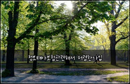 정보태아보험관련해서 저렴한가입