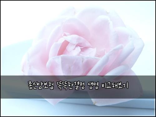 종신암보험 똑똑한결정  생명 비교해보기