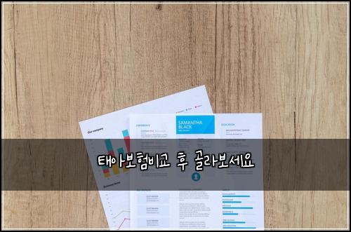 태아보험비교 후 골라보세요