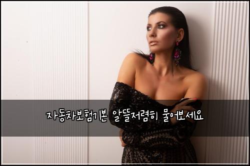 자동차보험기본 알뜰저렴히 물어보세요