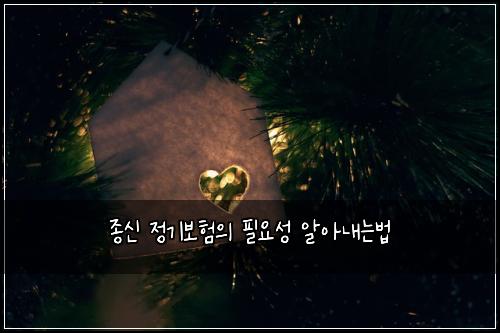 종신 정기보험의 필요성 알아내는법
