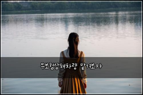 무보험상해차량 맡겨보자