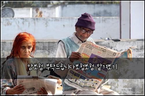 암보험 부탁드립니다보험보험 맡겨보기