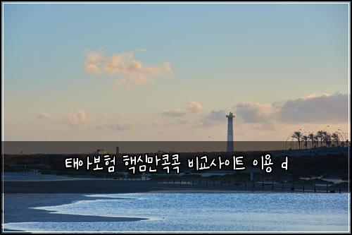 태아보험 핵심만콕콕  비교사이트 이용 d