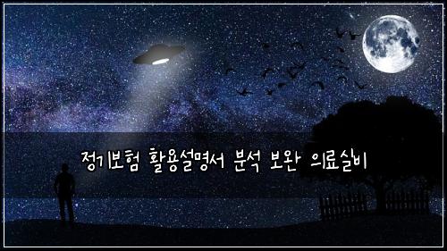 정기보험 활용설명서  분석 보완 의료실비