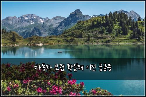 ์๋์ฐจ ๋ณดํ ํ์คํด ์ด์ ๊ถ๊ธ์ฆ