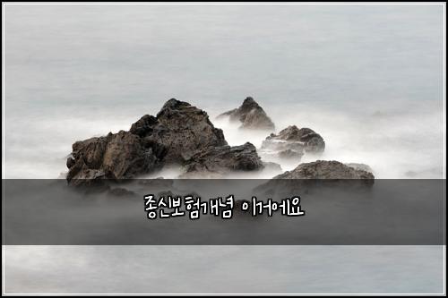 종신보험개념 이거에요