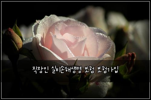 직장인 실비손해생명 보험 보험가입 