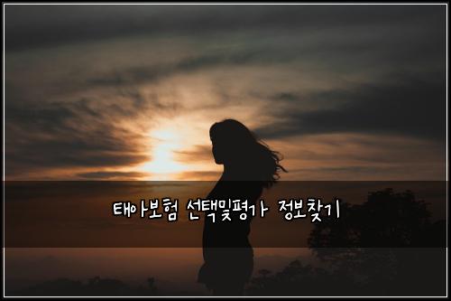 태아보험 선택및평가  정보찾기