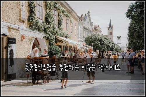 흥국종신보험을 추천하는 이유는 딱이에요
