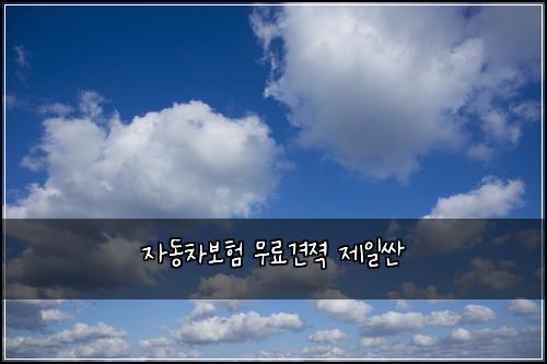 자동차보험 무료견젹  제일싼
