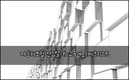 자동차보험 안심설계  교육내용 체크리스트