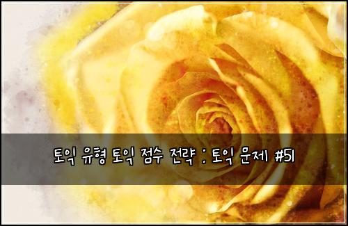 토익 유형 토익 점수 전략 : 토익 문제 #51