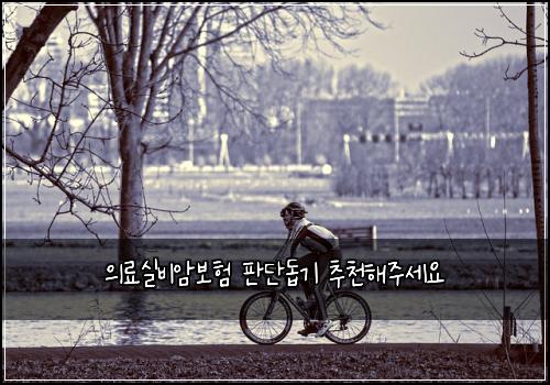 의료실비암보험 판단돕기  추천해주세요