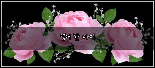 영어 한 마디